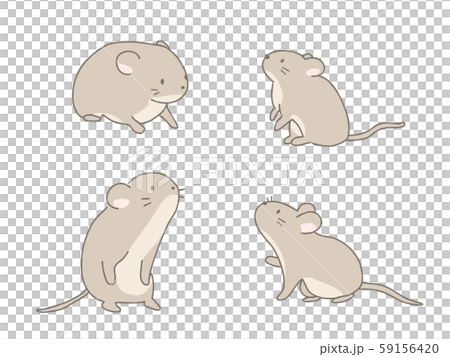 Wild mouse set - Stock Illustration [59156420] - PIXTA