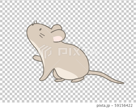 カヤネズミ カヤネズミ 59156422