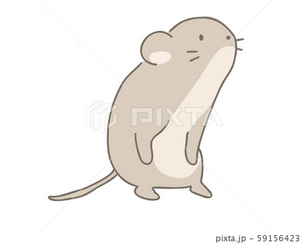 カヤネズミ カヤネズミ 59156423