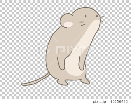 カヤネズミ カヤネズミ 59156423