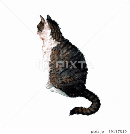 Watercolor painting of tabby cat 59157310