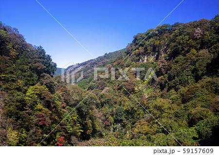 九酔渓　紅葉 59157609