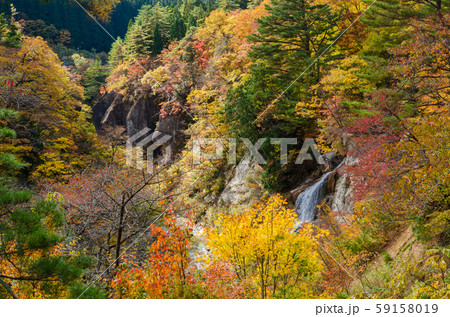 藤花の滝と面白山紅葉川渓谷 59158019