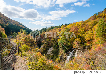 藤花の滝と面白山紅葉川渓谷 藤花の滝と面白山紅葉川渓谷 59158020
