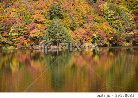 十二湖紅葉 59158033