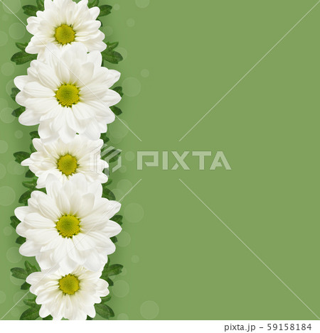 Daisy flowers line 59158184