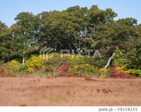倶知安町 鏡沼 倶知安町 鏡沼 59158255