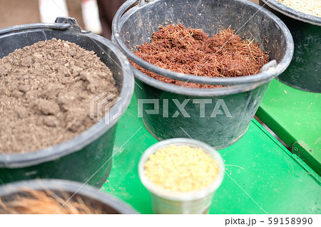dried coconut husk shell fiber hair & soil for growing plant dried coconut husk shell fiber hair & soil for growing plant 59158990