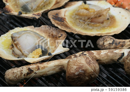 ホタテと松茸 59159386