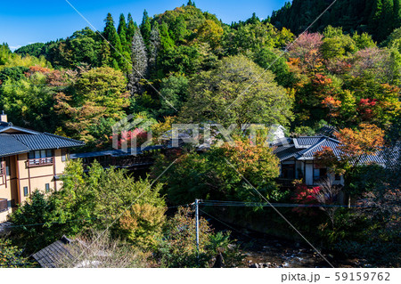 紅葉 紅葉 59159762