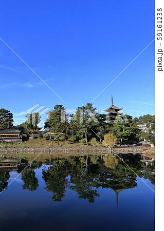 猿沢池と五重塔 猿沢池と五重塔 59161238
