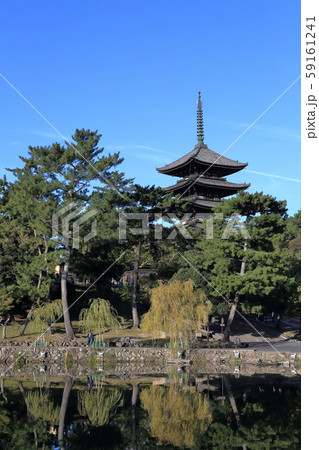 猿沢池と五重塔 59161241