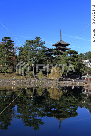 猿沢池と五重塔 猿沢池と五重塔 59161243
