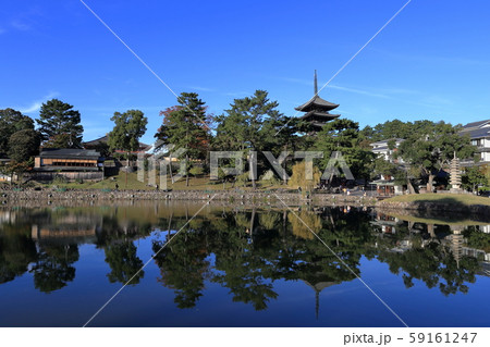 猿沢池と五重塔 猿沢池と五重塔 59161247