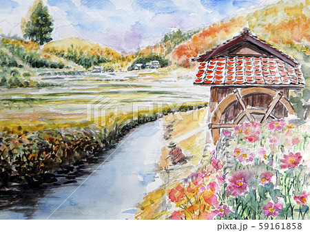 水車と秋桜　水車小屋　秋桜　秋　コスモス 59161858