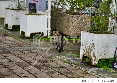 フランス バスク アンダイエ 境界の町 フランス バスク アンダイエ 境界の町 59163769