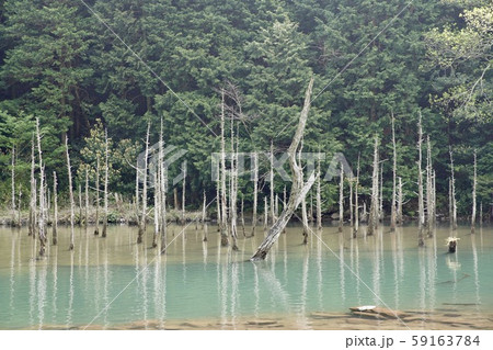 人工池 人工池 59163784