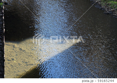 港区の川 港区の川 59165244