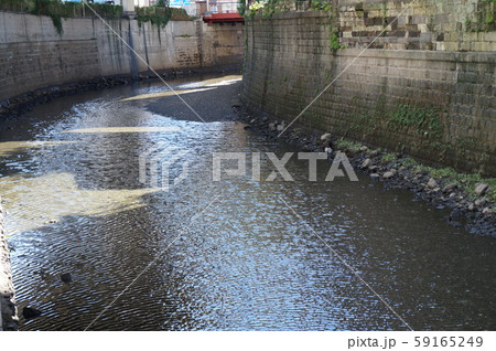 港区の川 港区の川 59165249