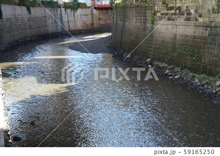 港区の川 港区の川 59165250
