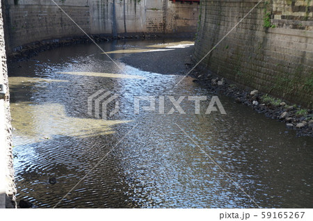 港区の川 港区の川 59165267