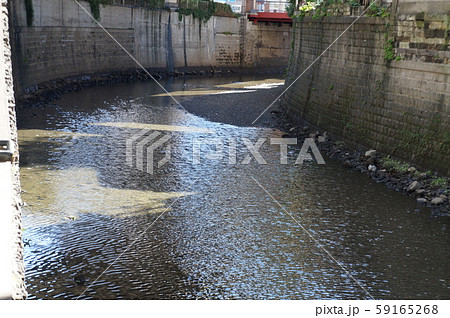 港区の川 港区の川 59165268