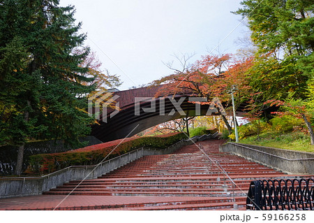 秋の県立博物館 秋の県立博物館 59166258