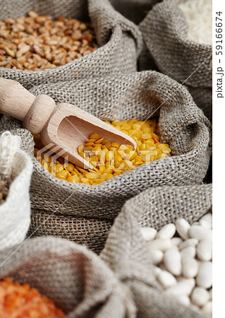 Corn kernel seed meal and grains in bags isolated Corn kernel seed meal and grains in bags isolated 59166674