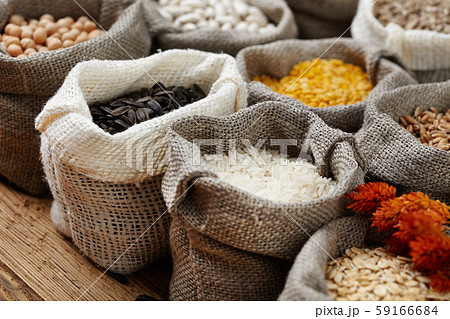 Corn kernel seed meal and grains in bags isolated Corn kernel seed meal and grains in bags isolated 59166684