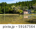 新潟の田園風景 59167564