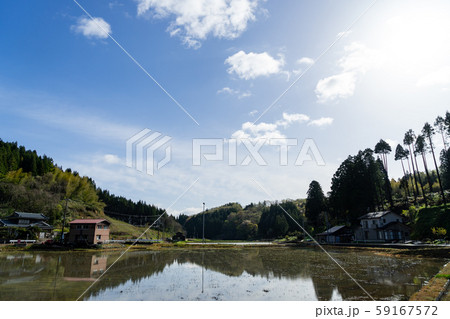 新潟の田園風景 新潟の田園風景 59167572