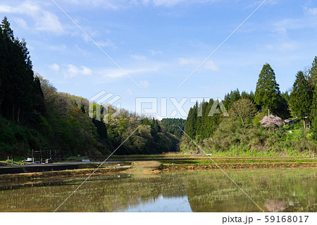 新潟の田園風景 新潟の田園風景 59168017