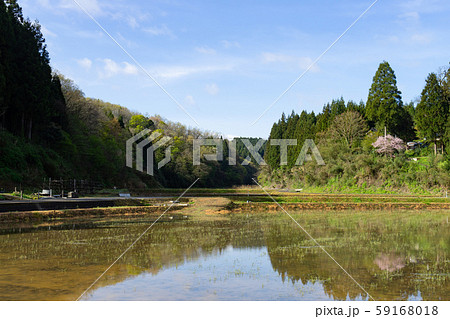 新潟の田園風景 新潟の田園風景 59168018