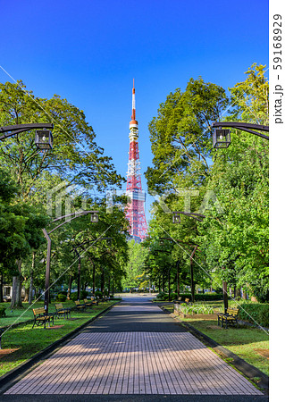 東京　芝公園　4号地 59168929