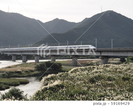 秋の山陽新幹線千種川橋梁の風景　ススキの河原 59169429