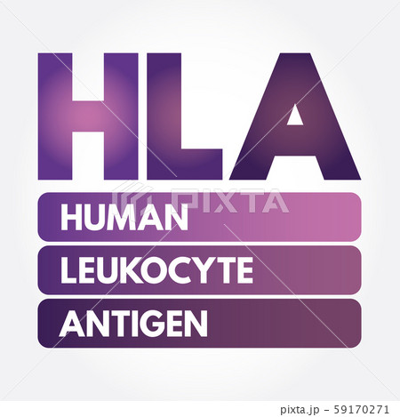 HLA - Human Leukocyte Antigen acronym HLA - Human Leukocyte Antigen acronym 59170271