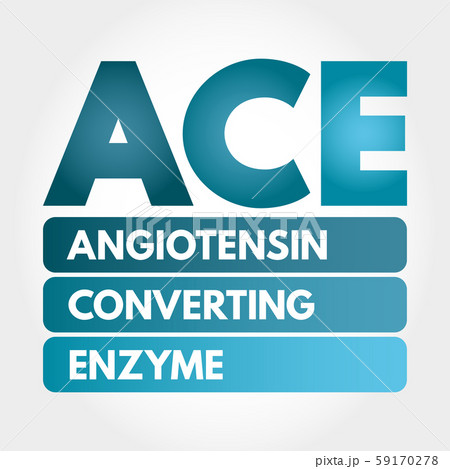 ACE - Angiotensin Converting Enzyme acronym 59170278