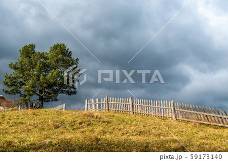 Landscape with lonely tree and dark stormy sky Landscape with lonely tree and dark stormy sky 59173140