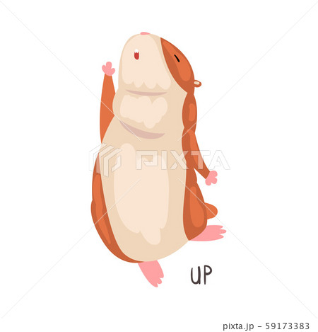 Up English Language Preposition of Place and Cute Hamster Character, Educational Visual Material for Up English Language Preposition of Place and Cute Hamster Character, Educational Visual Material for 59173383