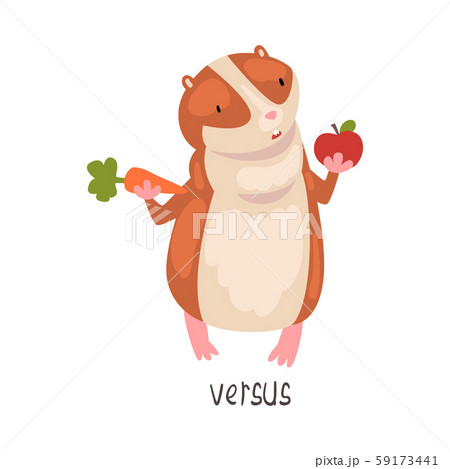 Versus English Language Preposition of Place and Cute Hamster Character, Educational Visual Material 59173441