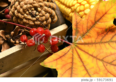 Fruits and vegetables with walnuts, berries, cones 59173691