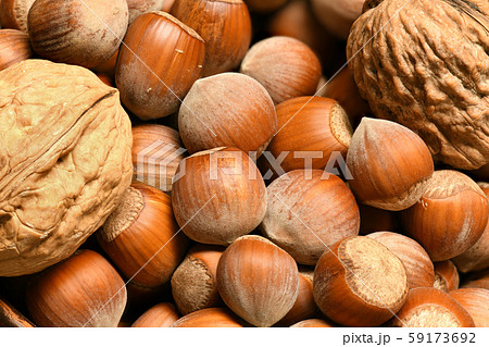 macro photo of nuts and walnuts - autumn harvest 59173692