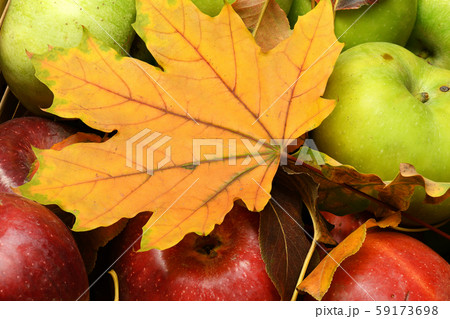 Fruits and vegetables with apples, plums - autumn 59173698