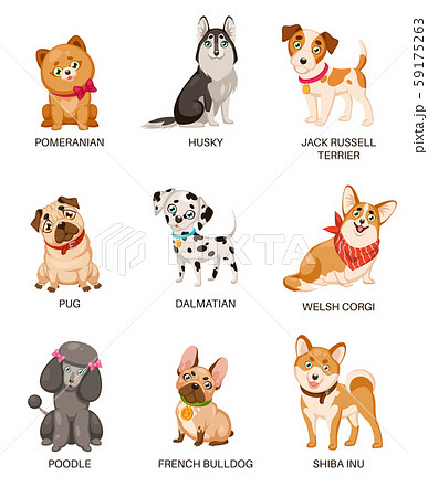 Cute puppies. Funny dogs of different breeds. Cartoon pomeranian, husky and terrier, pug and poodle 59175263