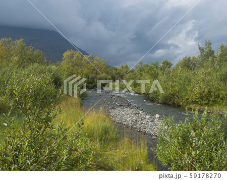 wild river with birch tree forest and mountains in 59178270