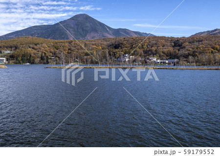 信州　長野県茅野市北山蓼科　晩秋の白樺湖と蓼科山 59179552
