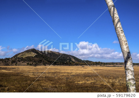 信州 長野県諏訪郡下諏訪町霧ケ峰 晩秋の八島湿原 信州 長野県諏訪郡下諏訪町霧ケ峰 晩秋の八島湿原 59179620