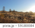 霧ヶ峰の草原と木立と空 59180084
