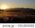 朝陽照らす霧ヶ峰高原とススキ 59180088