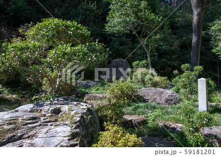 高麗神社 境内 温知学校跡付近 埼玉県日高市 高麗神社 境内 温知学校跡付近 埼玉県日高市 59181201